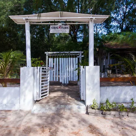 Coral Flora Villa Beach Front Gili Trawangan Exterior photo